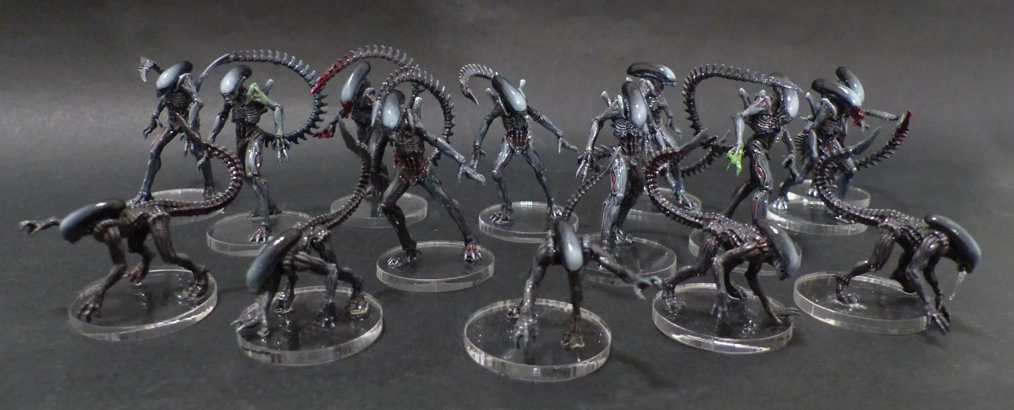 чужой ксеноморф эволюция. иерархия хищников. ксеноморф преторианец концепт. чужой против хищника эволюция. эволюция хищника.