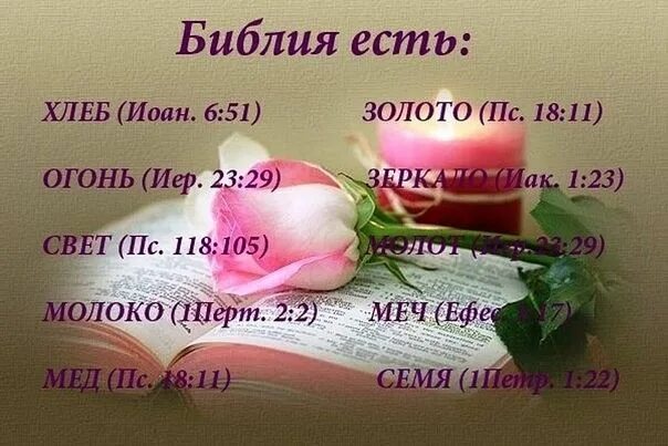 Можно ли привести пример из библии Pinterest в 2024 г Библия, Мудрость