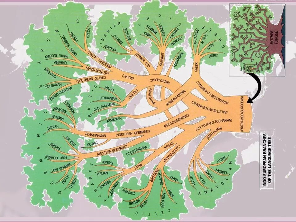 Расселение языков. Индоевропейцы Древо. Расселение индоевропейских народов. Дерево языков. Древо языков.
