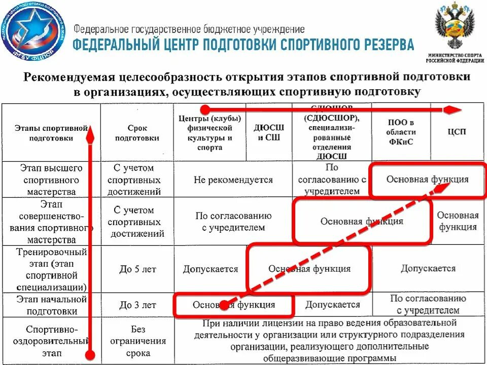 Анализ спортивной организации