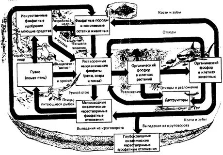 Круговорот унижение