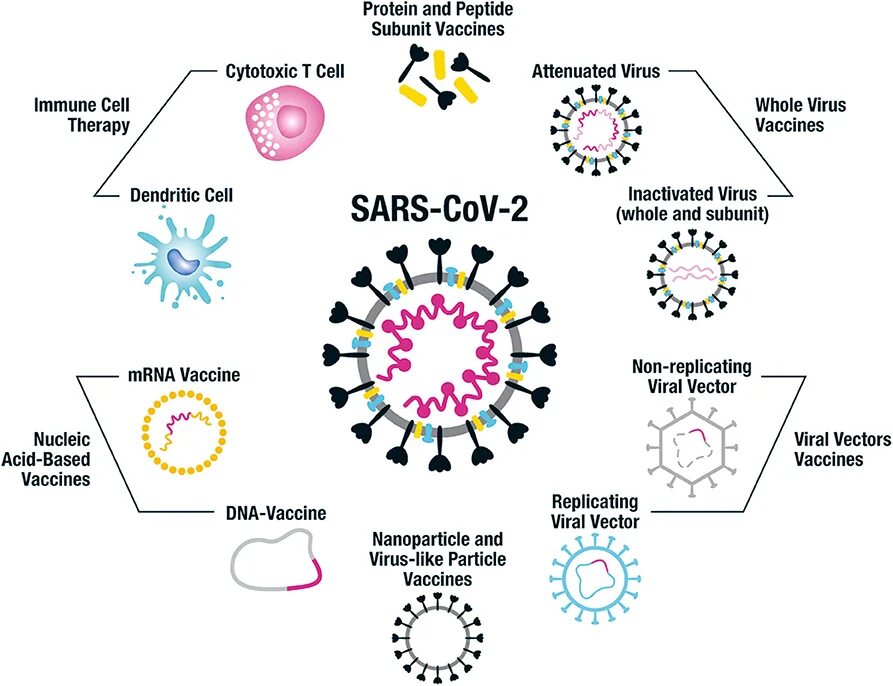 Virus vaccine. Вирусные вакцины. Векторные вакцины. Вирусная Векторная вакцина. Вирус SARS-cov-2.