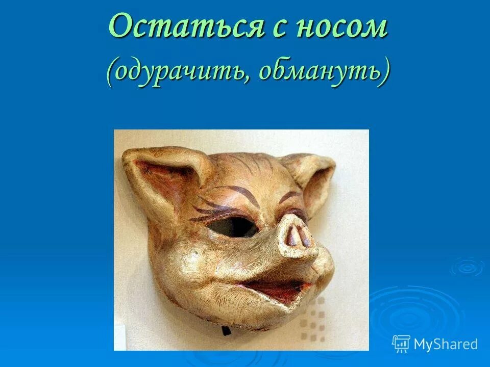 что значит остаться с носом