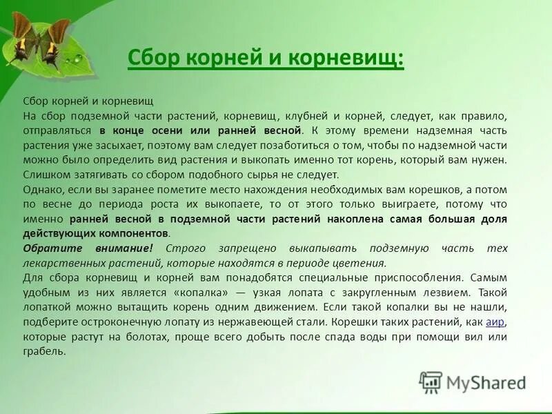 Собирали какой корень. Составление слов из частей других слов. Собирали какой корень. Собирали какой корень. Собирали какой корень.