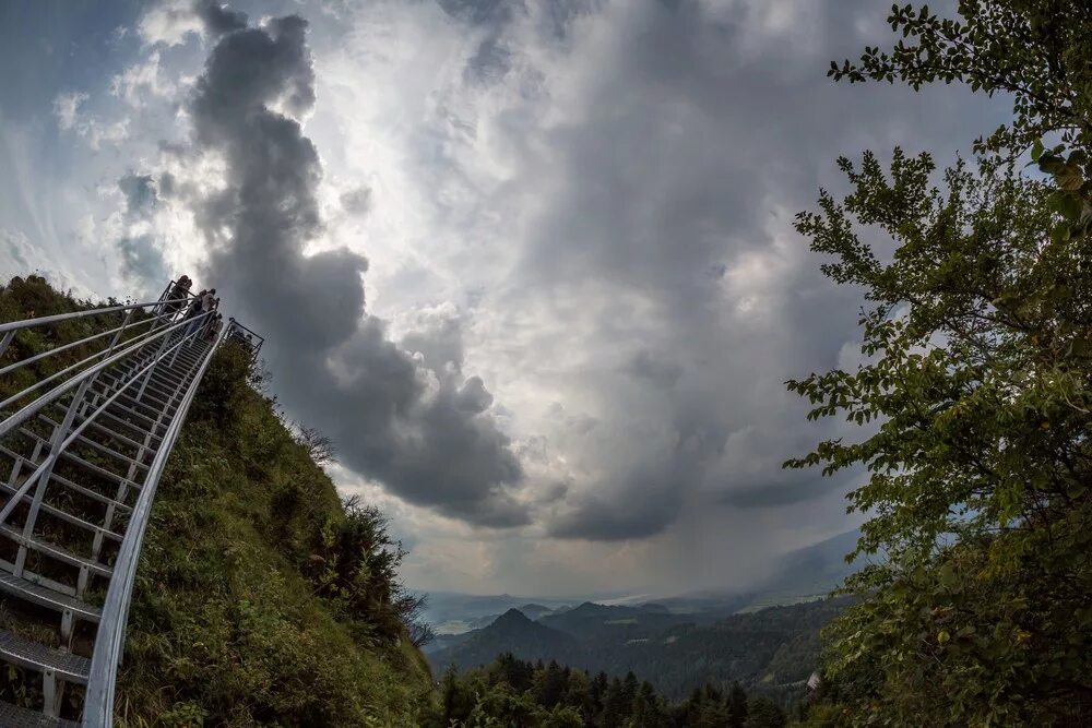 Женщина на прогулке :: Объектив: Samyang 14 mm f/ 2.8 ED AS IF UMC - тестовая фо