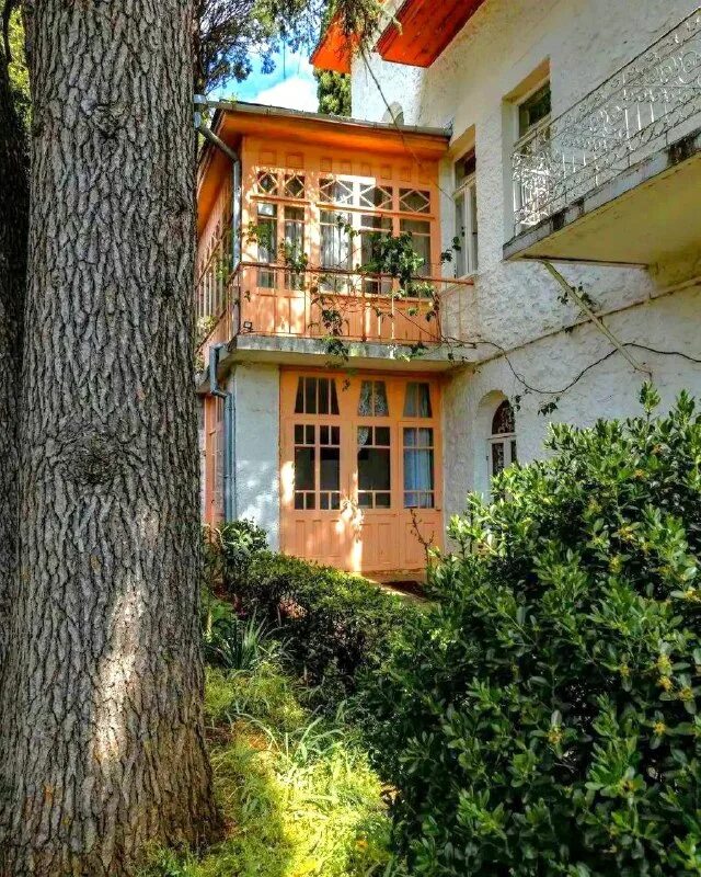 дом чехова в ялте сад. ялтинская дача чехова стояла огэ. дом чехова в ялте. дом чехова в ялте. чехова в ялте (белая дача).