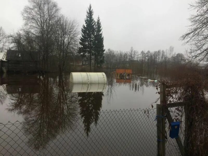 Великий новгород уровень воды. Наводнение в Пестово Новгородской области. Уровень воды Ильмень. Экология Новгородской области. Подтопление Волхов.