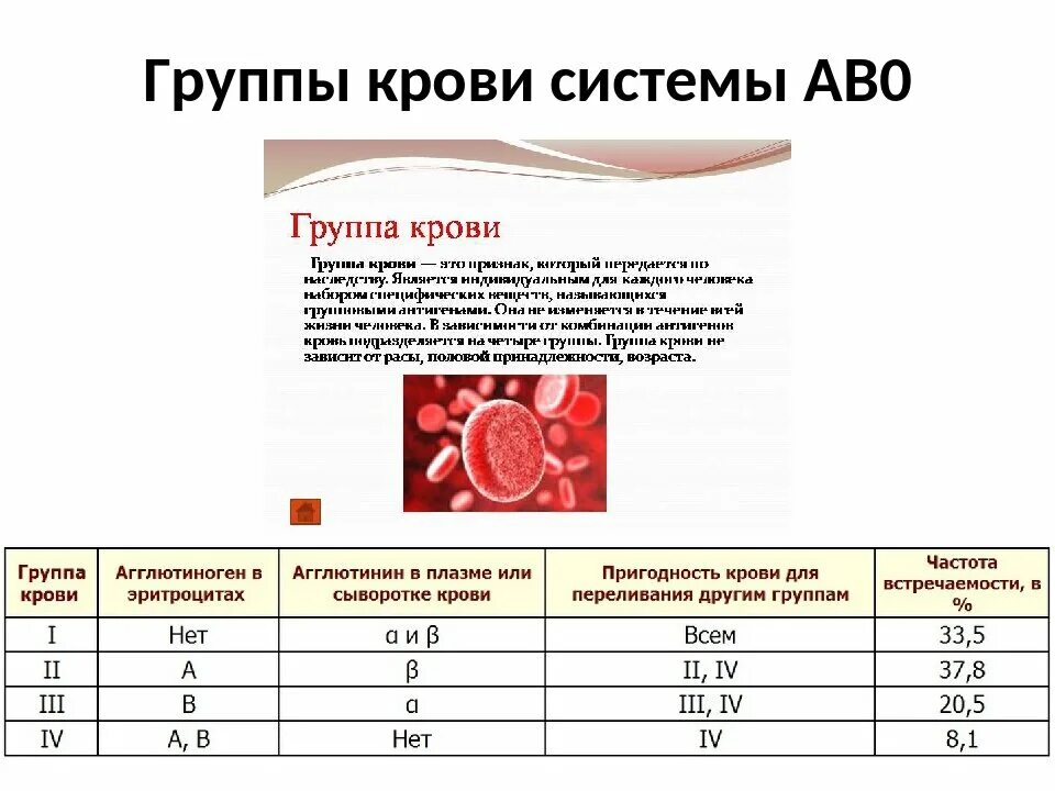 Группа крови телефон