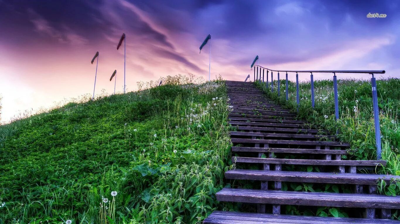 Sky steps. Лестница в небо. Лестница вверх. Дорога в рай. Дорога к небу.