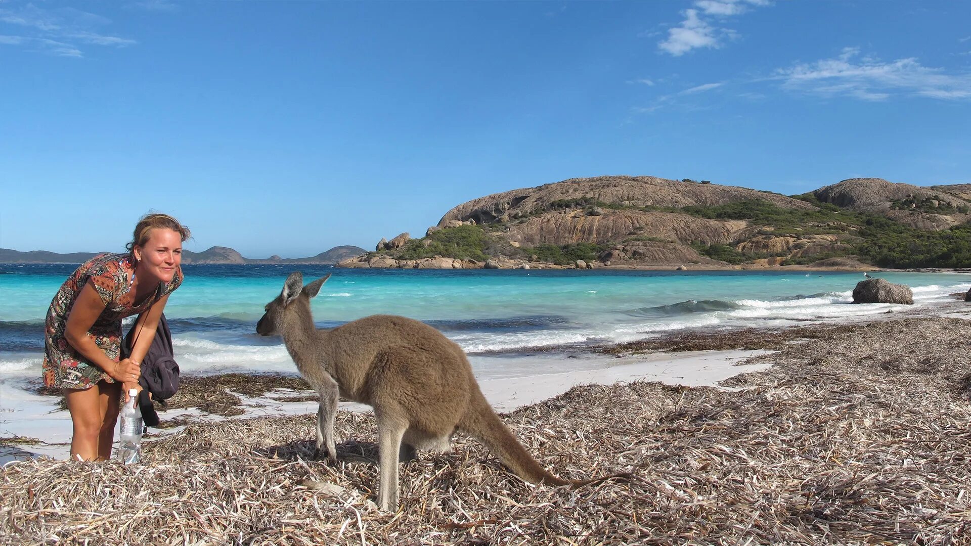 Почему говорит австралия. Австралия фото. Манингрида Австралия. Остров кенгуру в Австралии. Обычный день в Австралии.