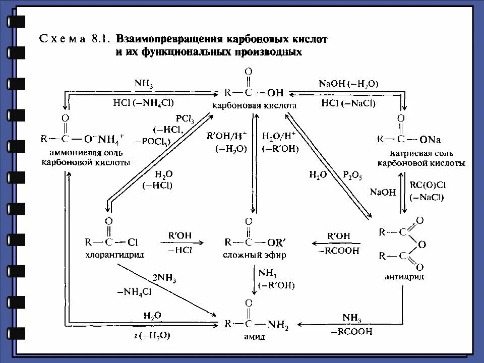 Цепи карбоновые кислоты. Функциональные производные карбоновых кислот химические свойства. Схема генетической связи кислоты. Производные карбоновых кислот химические свойства. Схемы превращения карбоновых кислот.