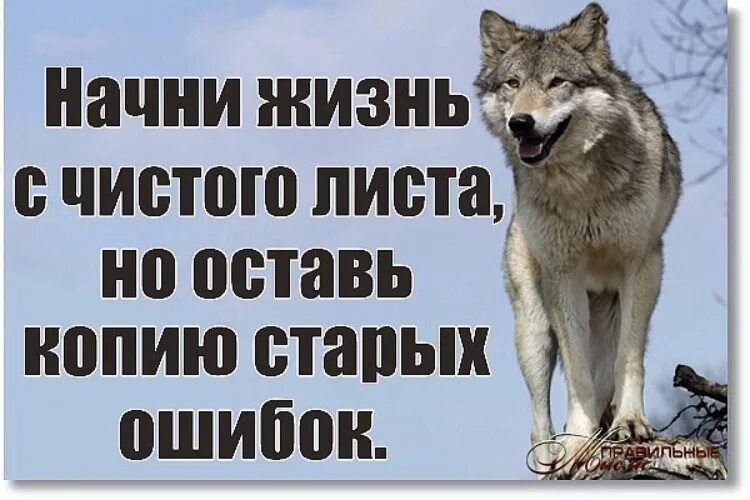 Начал начало фразы. Начать всё с чистого листа цитаты. Начать жизнь с чистого листа. Начать с чистого листа цитаты. Жизнь с чистого листа цитаты.