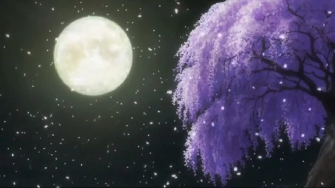Blossom in my moonlight