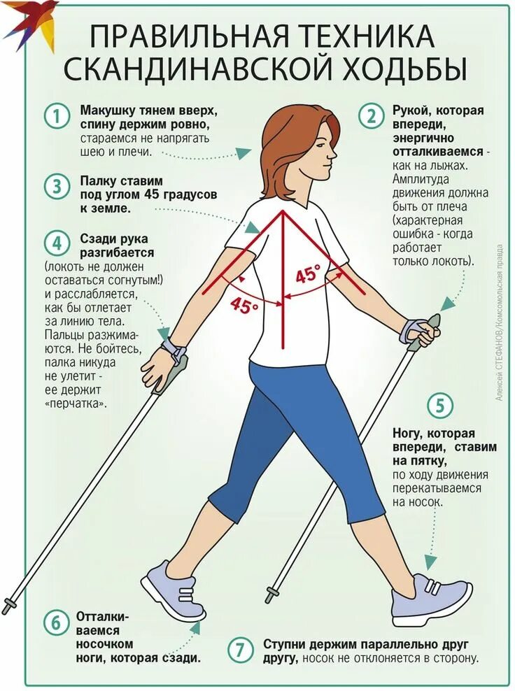 Скандинавская ходьба урок начинающим. Скандинавская ходьба с палками техника ходьбы для начинающих. Техника скандинавской ходьбы для начинающих пошагово. Методика скандинавской ходьбы для начинающих. Скандинавская ходьба с палками техника ходьбы для начинающих пожилых.