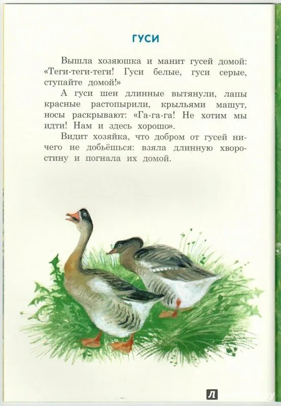 Гуси произведение. Рассказ ушинского гуси. к д ушинский гуси. к. ушинского «гуси». иллюстрации к рассказу гуси ушинского для детей.