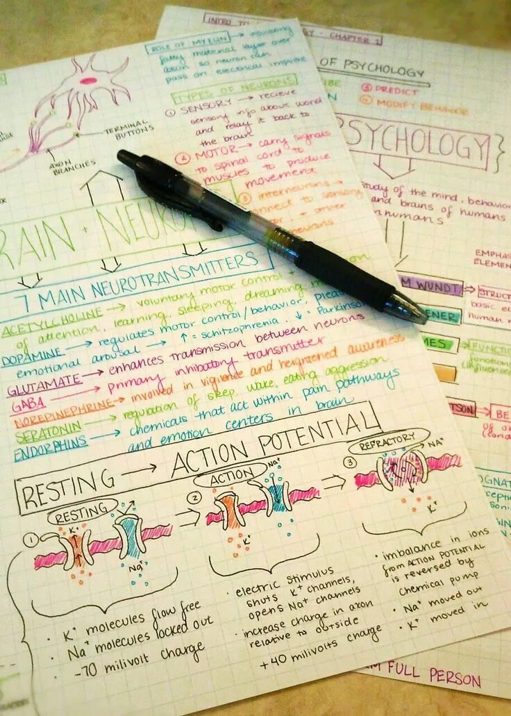 Read these notes
