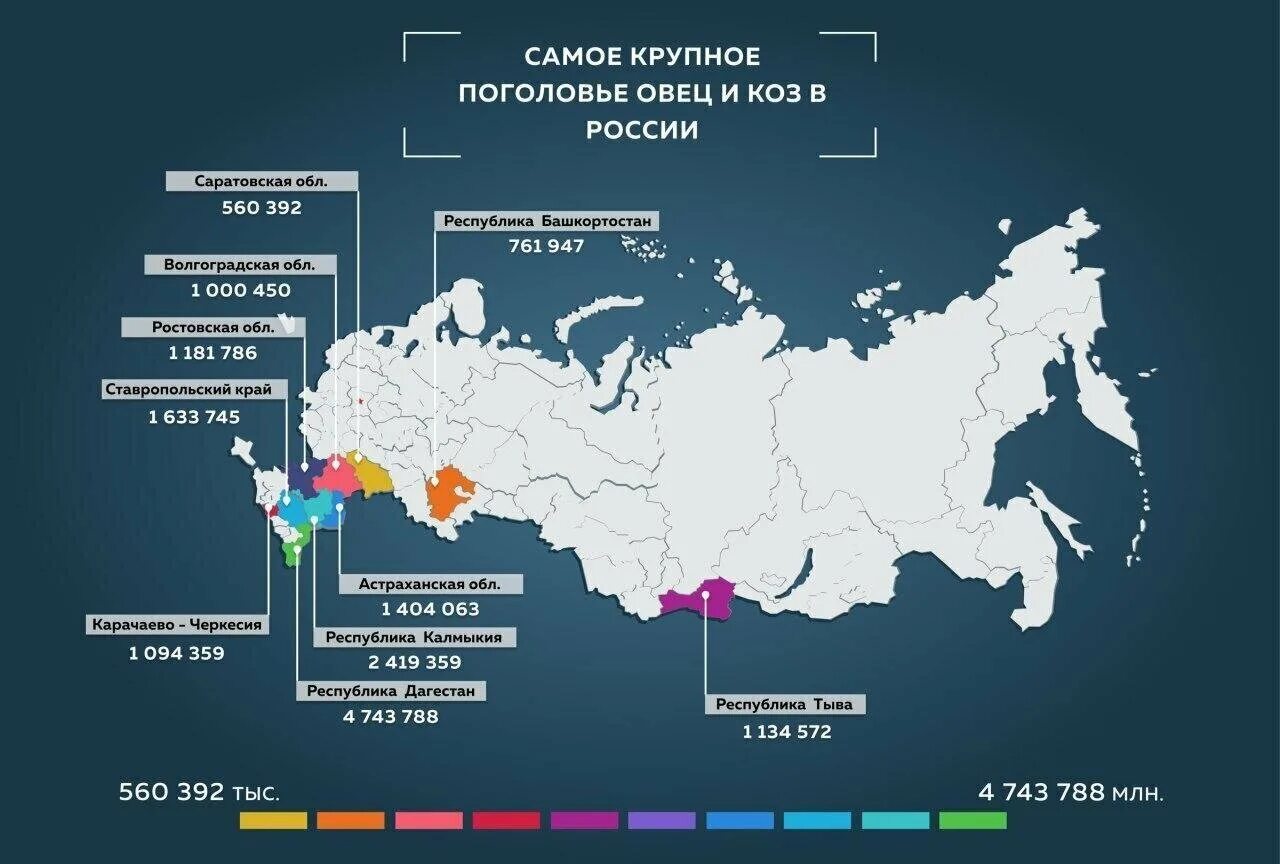 Овцеводство страны лидеры. Странылидеры попоголовьюовец. Страны с наибольшим поголовьем овец. Страны с наибольшим поголовьем овец. Странылидеры попоголовьюовец.