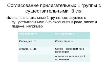 Согласование прилагательного с несколькими существительными