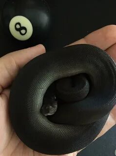 My 8 Ball (Super Black Pastel) .