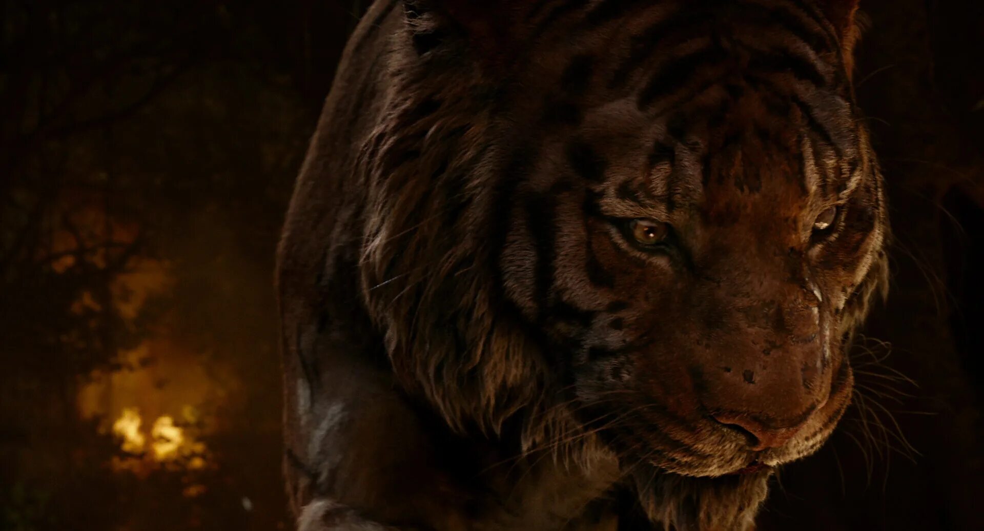 великий тигр 2. шерхан из маугли 2016. великий тигр 2015. кино великий тигр. король тигров великий тигр.