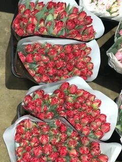 Цветы оптом рязань
