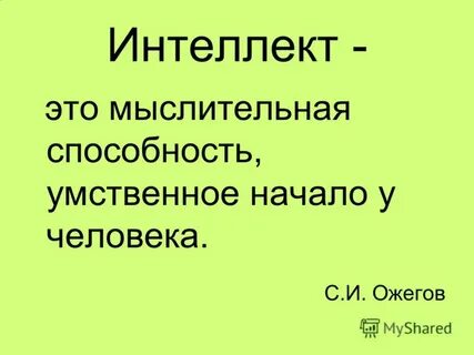 Основа разума
