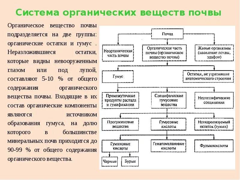 Назовите органические вещества почвы. Схема формирования органического вещества. Схема состава органического вещества почвы. Состав органического вещества почвы. Источники органического вещества в почве.