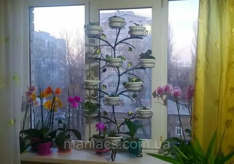 Подставки для цветов орхидей