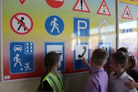Специалист по дорожному движению