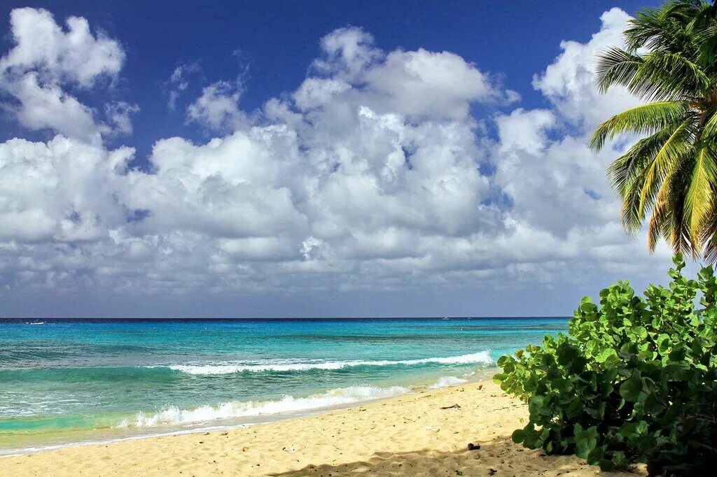 Logas beach. Fresh ru beach. Beach 8. Джаяпура. Красивый пляж.