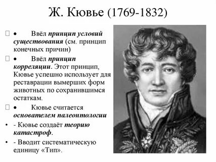 Взгляды кювье