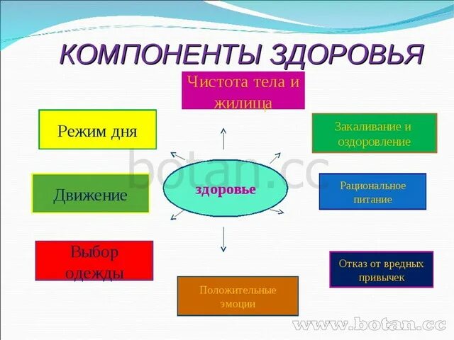 Главный элемент жизни. Компоненты здоровья. Основные компоненты здоровья. Укажите компоненты здоровья:. Составляющие компоненты здоровья.