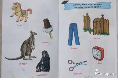 Несклоняемые существительные в зоопарке
