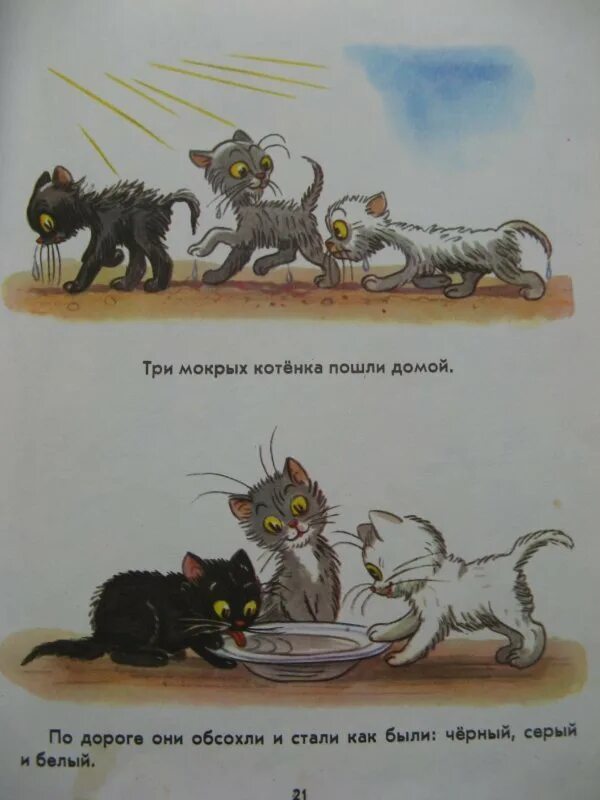 Читать три котята с картинками. Сутеев 3 котенка. сказки сутеева три котенка. картинки к сказке сутеева три котенка.