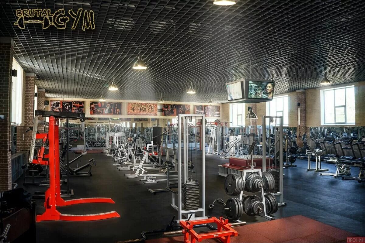 Gym курск