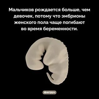 Рожайте побольше