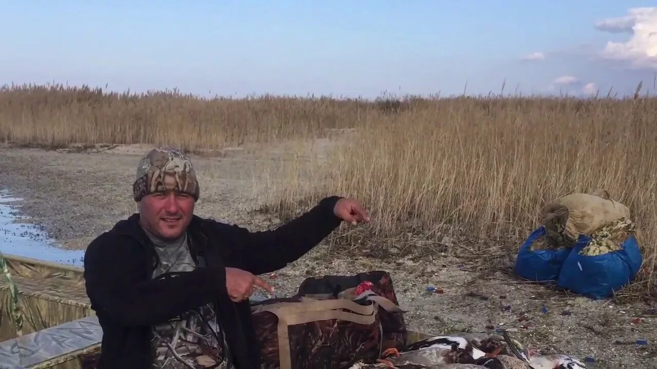 Македонская армия пельтасты. Пауль де вос охота на оленя. Грек охота. Рубенс петер пауль, «диана и нимфы, застигнутые фавнами», 1638–1640. Охота на оленя картина.