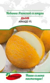 Дыня айкидо