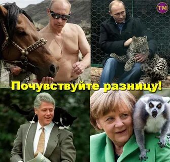 Приколы 2024 18