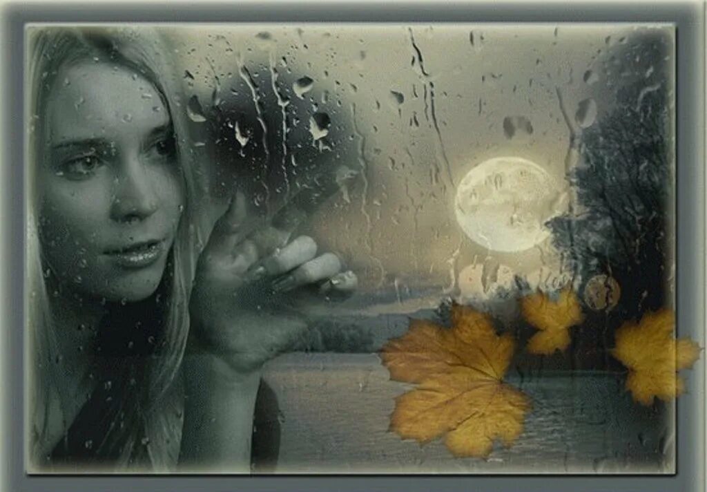 Осенний стучать. Дождик в окно стучится. Дождь в окно стучится. Осень дождь. Дождь стучит в окно.