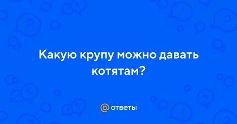 Какую кашу давать котятам
