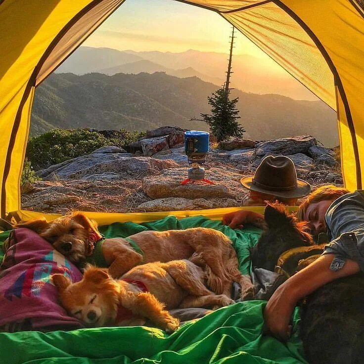 Experience is best