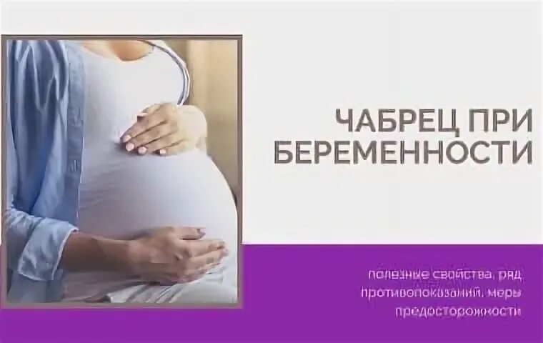 Можно ли беременным пить чабрец. Полезные статьи для беременных. чабрец при беременности можно. беременным можно тимьян. эудпелмен при беременности.