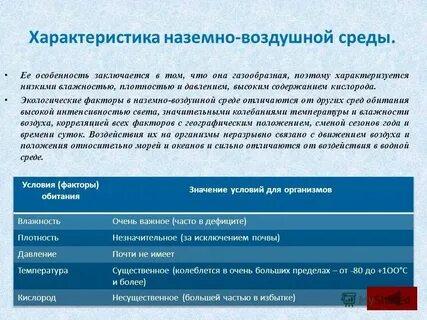Чем условия отличаются от среды