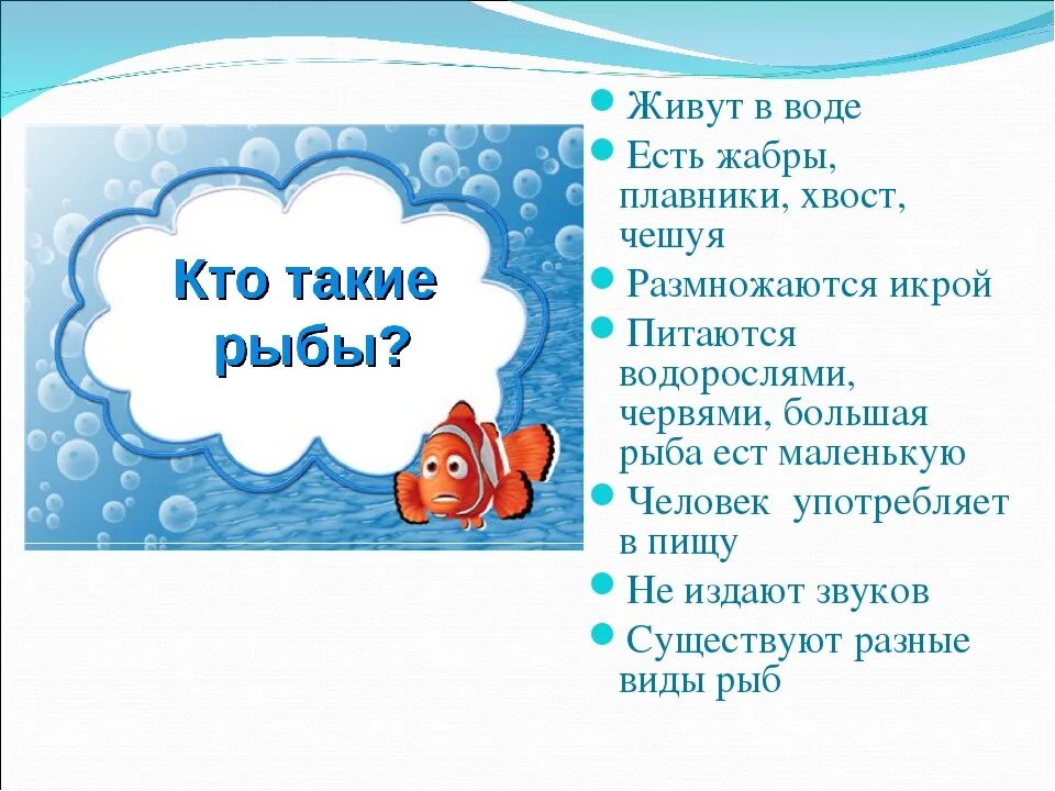 Хвост чешуя слушать. Хвостовой плавник русалки. Хвост чешуя слушать. Хвост чешуя слушать. Русалка хвост чешуя.