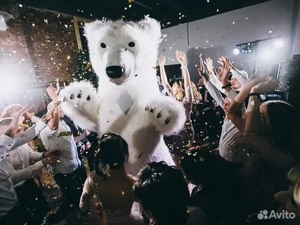 Вечеринки медведи