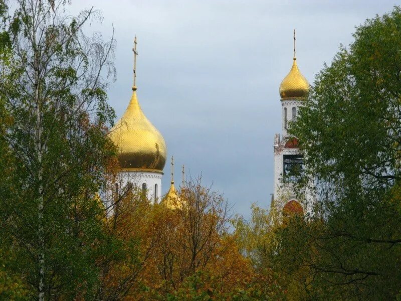 Золотые маковки песня слушать. Родина золотые маоквки уервквец. Береза и Церковь. Церковь с березовыми куполами.