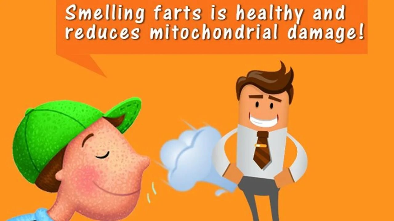 Farting smelling. Sparrow fart идиома. Fart Comp. Первый fart.