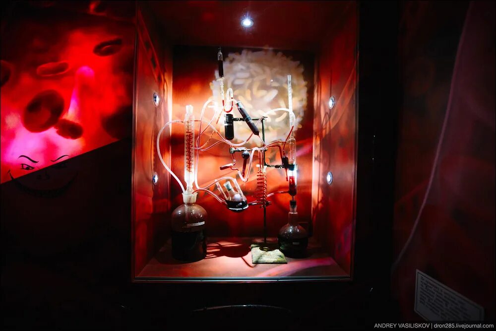 Музей человеческого тела в санкт-петербурге. Музей в питере внутри человека. Музей тело человека в санкт-петербурге. Анатомический эрмитаж санкт-петербург. Музей иллюзий на вднх внутри человека.