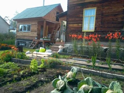 Малый кускун красноярский край